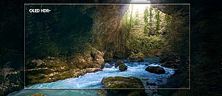 �������� 77 ���� ������ OLED (2024) ��� QN77S90DAF