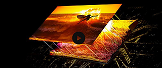 �������� ������ Neo QLED QN55QNX1DAF 4K �55 ������ 