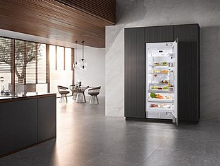 ���� �������� (����) Miele K 2802 Vi 