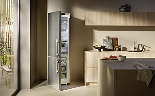 ���� ����� ����� Liebherr CBNBSA 575i � � ����� ������� ������