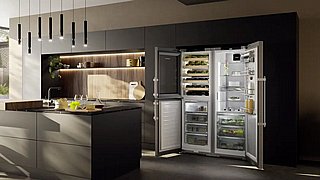 ����  liebherr (120 �"�) ����� ���� ��� ���: XRCst 5295