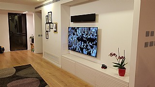 �������� OLED ���� 55 ����� ��� A1 �����