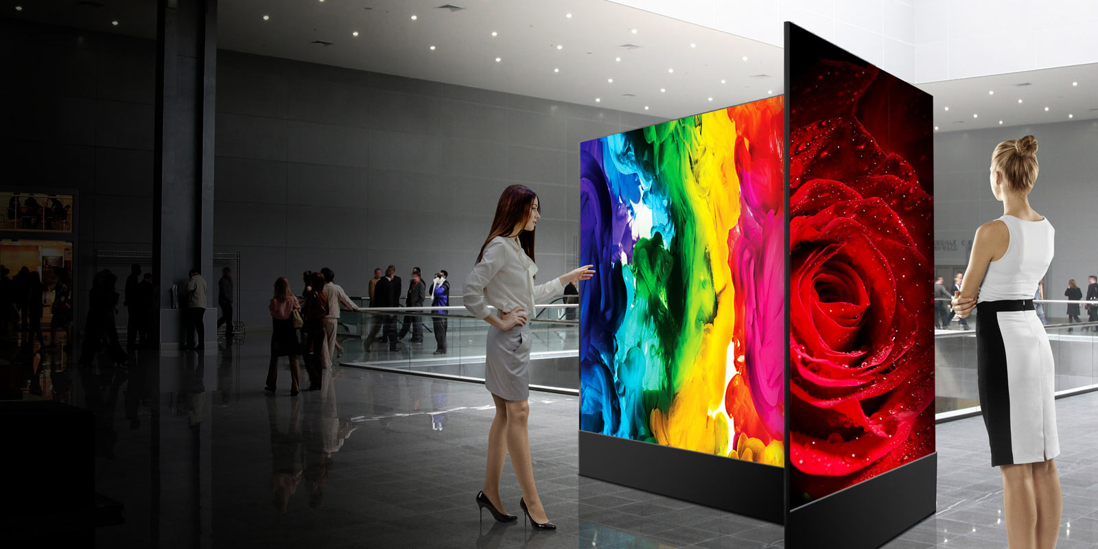  OLED   